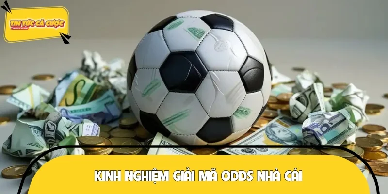 Thắng dễ dàng với kinh nghiệm cực đỉnh từ chuyên gia