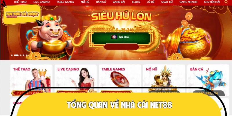 Review về thương hiệu thể thao