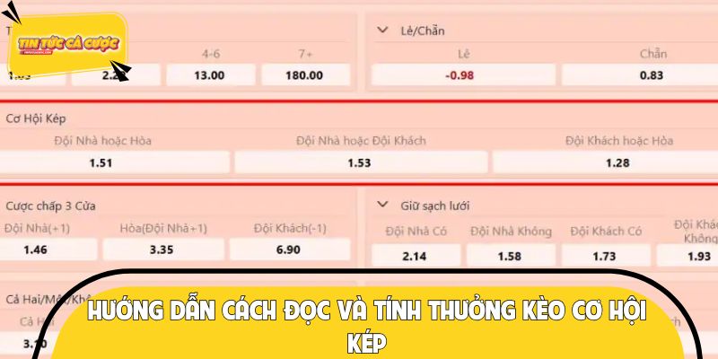Hướng dẫn người mới cách đọc và tính thưởng kèo cơ hội kép
